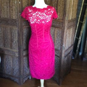 Gorgeous Lace Monique Lhuillier Fuschia Dress